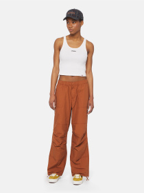 Штани Dickies Fishersville модель DK0A4YV4H161 Фото