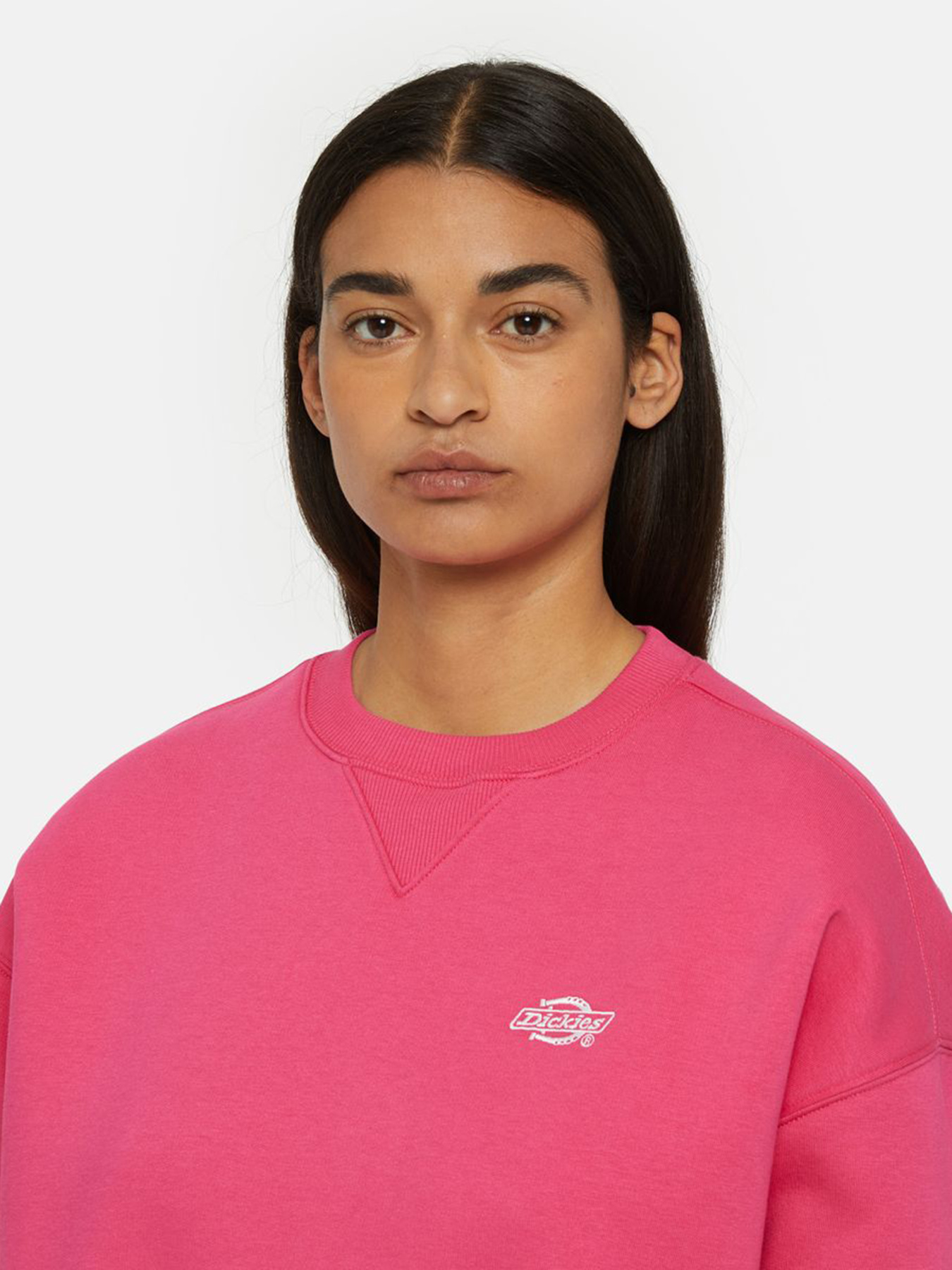 Худі та світшоти Dickies Summerdale модель DK0A4XYXH191 Худі та світшоти Dickies Summerdale модель DK0A4XYXH191 Фото