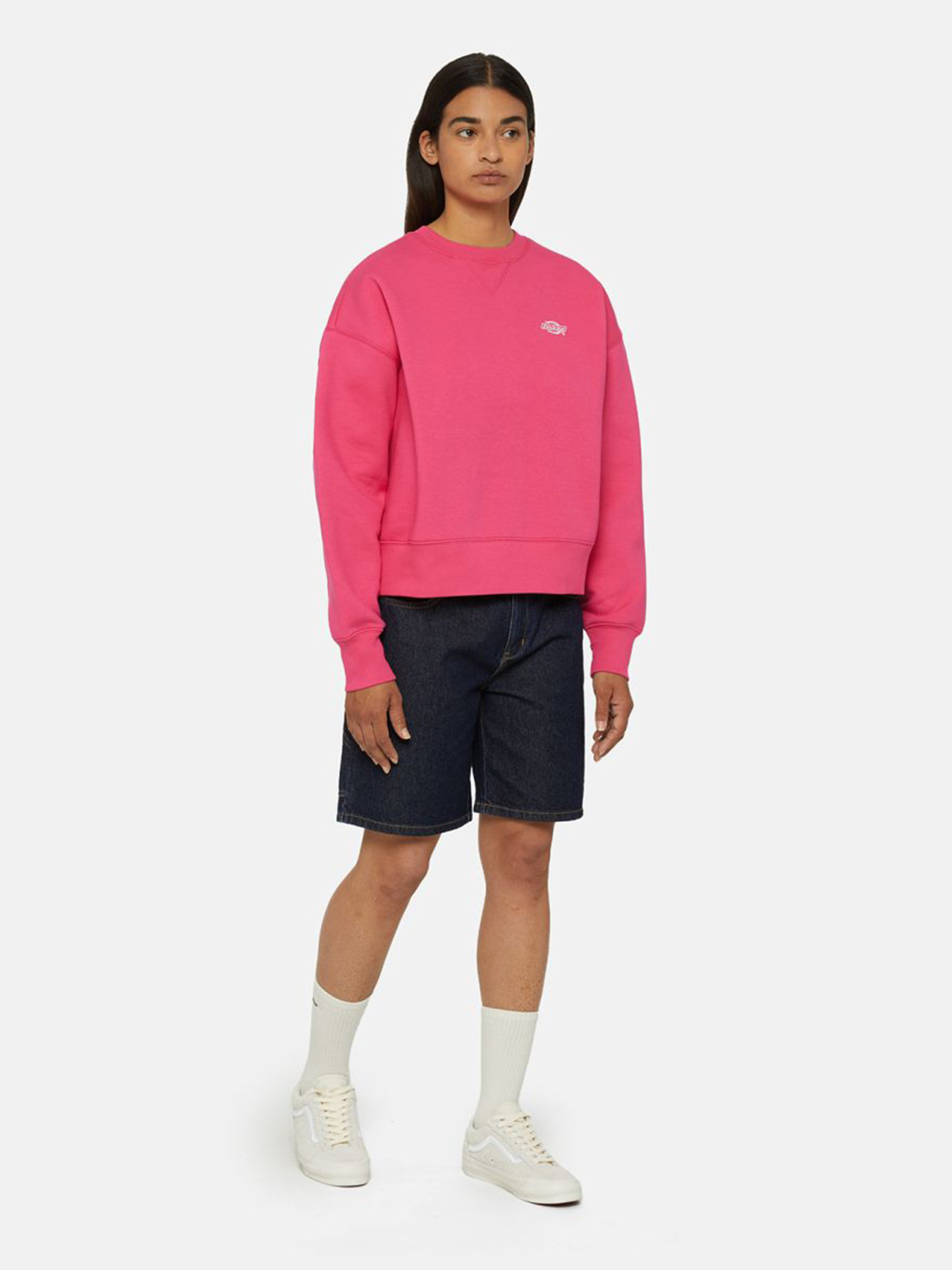 Худі та світшоти Dickies Summerdale модель DK0A4XYXH191 Худі та світшоти Dickies Summerdale модель DK0A4XYXH191 Фото