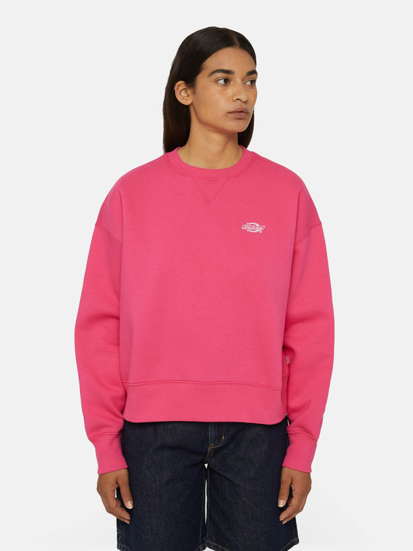 Худі та світшоти Dickies Summerdale модель DK0A4XYXH191 Худі та світшоти Dickies Summerdale модель DK0A4XYXH191 Фото
