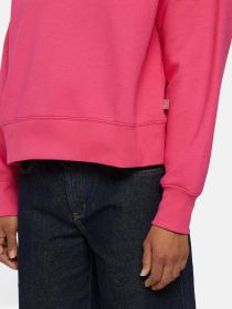 Худі та світшоти Dickies Summerdale модель DK0A4XYXH191 Фото