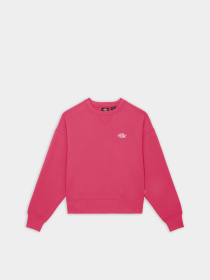 Худі та світшоти Dickies Summerdale модель DK0A4XYXH191 Фото