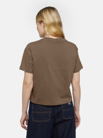 Футболки і поло Dickies Oakport Boxy модель DK0A4Y8LMR11 Фото