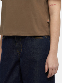 Футболки і поло Dickies Oakport Boxy модель DK0A4Y8LMR11 Фото