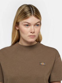Футболки і поло Dickies Oakport Boxy модель DK0A4Y8LMR11 Фото