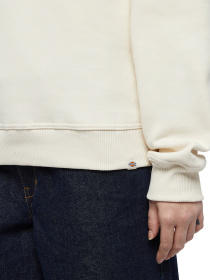 Худі та світшоти Dickies Clancy модель DK0A4Z2XF901 Фото