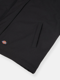 Куртки та дублянки Dickies Plains модель DK0A8643BLK1 Фото
