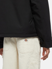 Куртки та дублянки Dickies Plains модель DK0A8643BLK1 Фото
