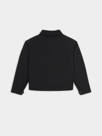 Куртки та дублянки Dickies Plains модель DK0A8643BLK1 Фото