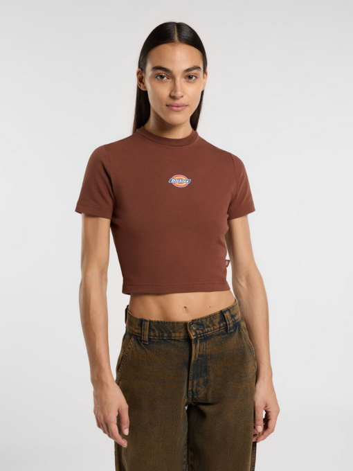 Футболки і поло Dickies Maple Valley модель DK0A4XPOK471 Фото
