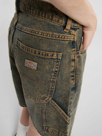 Шорти Dickies Herndon модель DK0A4YSGK581 Фото