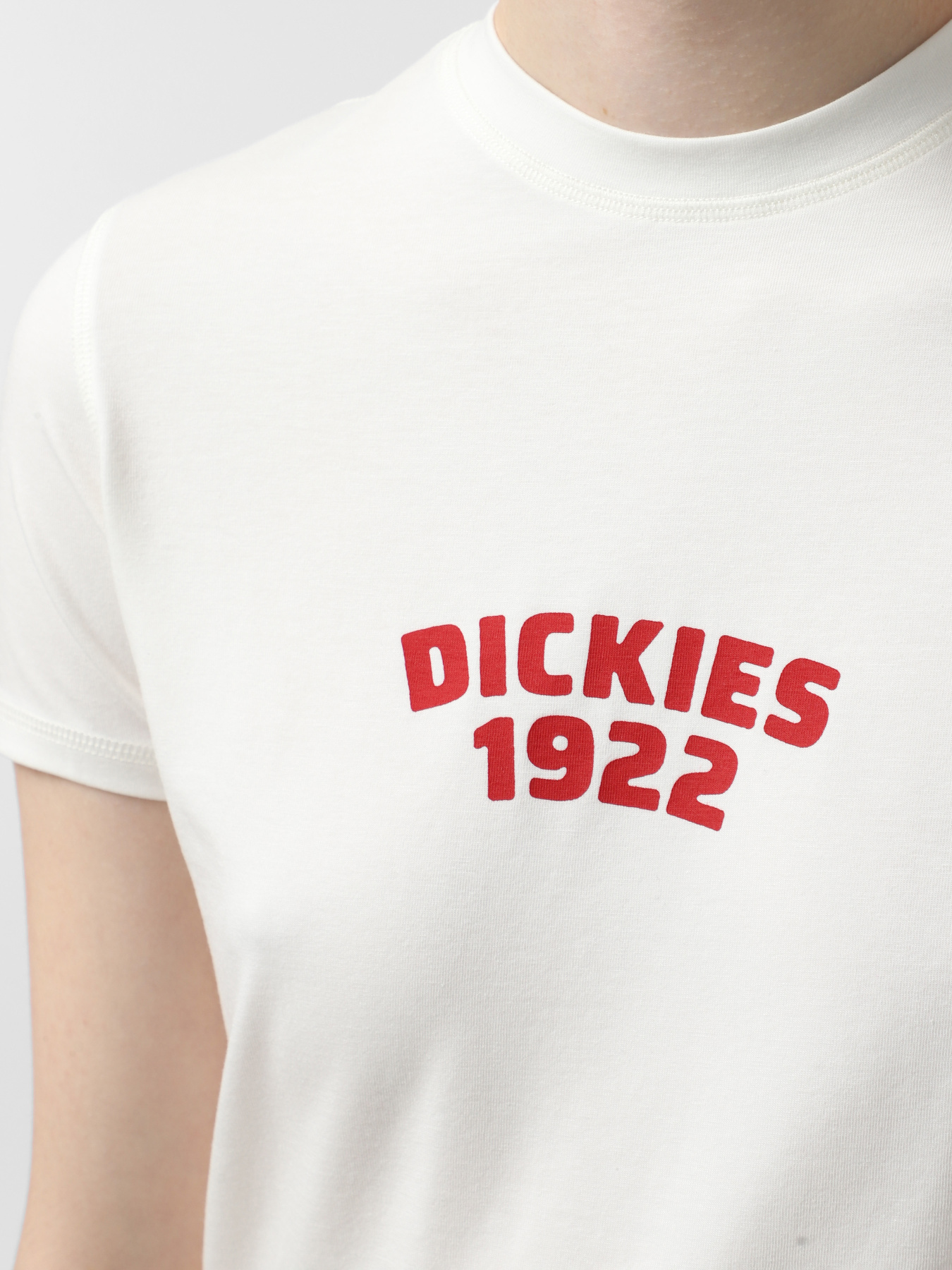 Футболки і поло Dickies Center Logo модель DK0A4Z8FC481 Фото