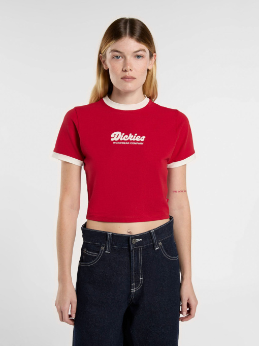 Футболки и поло Dickies Lewistown Ringer модель DK0A4Z8I0ER1 Фото
