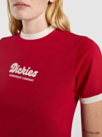 Футболки і поло Dickies Lewistown Ringer модель DK0A4Z8I0ER1 Фото