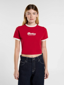Футболки и поло Dickies Lewistown Ringer модель DK0A4Z8I0ER1 Фото