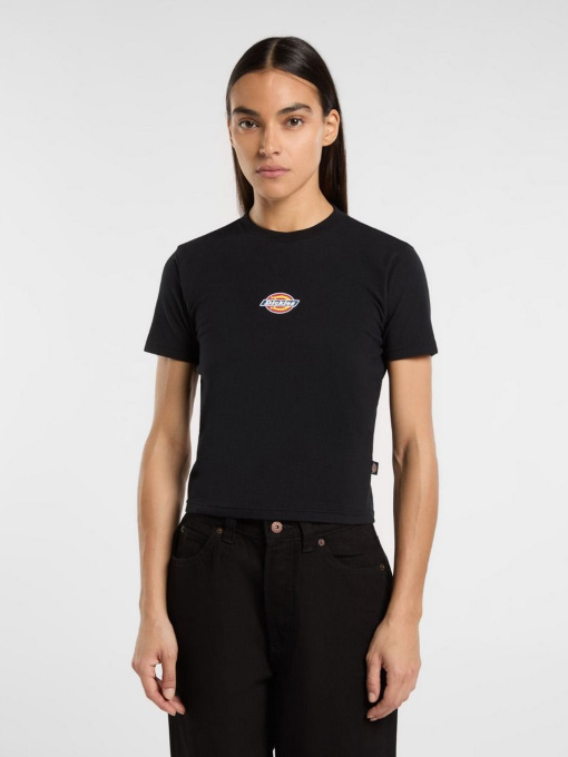 Футболки и поло Dickies Maple Valley модель DK0A4ZAOBLK1 Фото