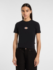 Футболки и поло Dickies Maple Valley модель DK0A4ZAOBLK1 Фото