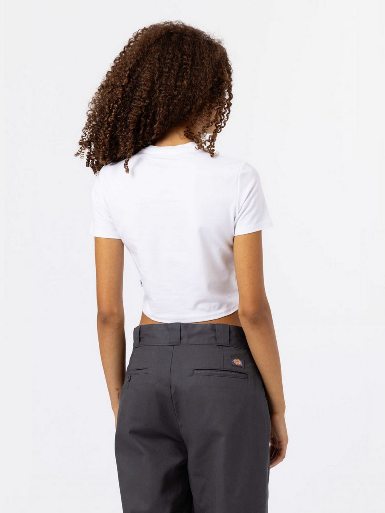 Футболки і поло Dickies Maple Valley модель DK0A4XPOWHX1 Фото