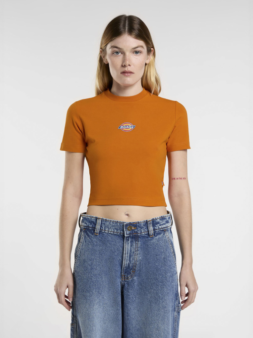 Футболки и поло Dickies Maple Valley модель DK0A4XPOK641 Фото