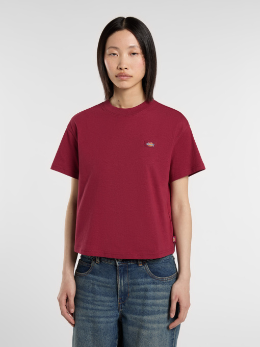 Футболки и поло Dickies Oakport модель DK0A4Y8LK741 Фото