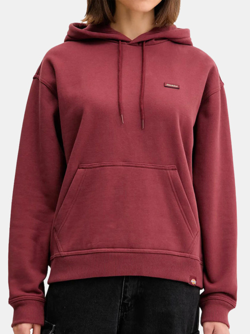 Худі та світшоти Dickies Clancy модель DK0A4Z2WL161 Фото
