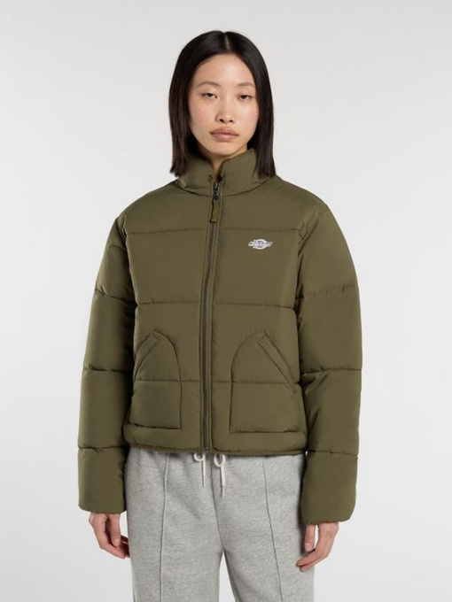 Куртки и дубленки Dickies модель DK0A87OJMGR1 Фото