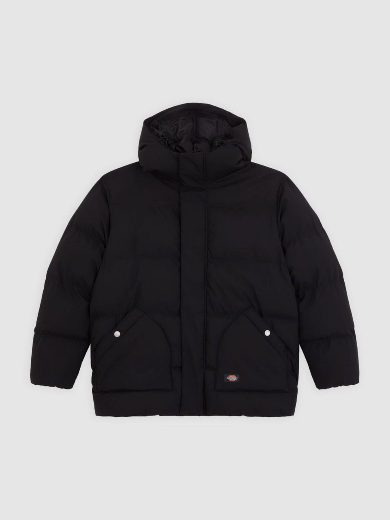 Куртки и дубленки Dickies EAGLEVILLE HOODED PUFFER модель DK0A87OLBLK1 Фото