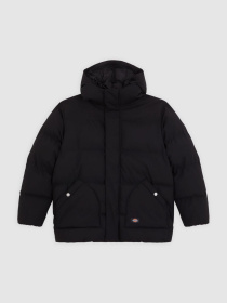 Куртки и дубленки Dickies EAGLEVILLE HOODED PUFFER модель DK0A87OLBLK1 Фото