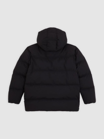 Куртки и дубленки Dickies EAGLEVILLE HOODED PUFFER модель DK0A87OLBLK1 Фото
