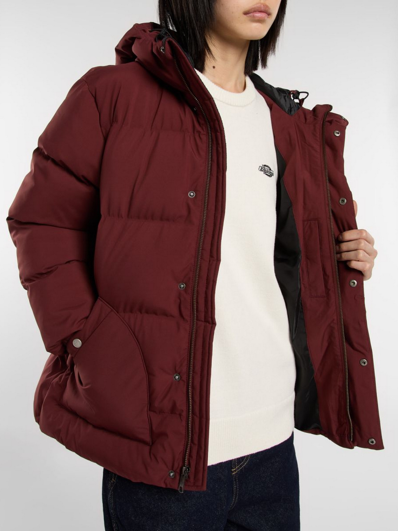 Куртки и дубленки Dickies EAGLEVILLE HOODED PUFFER модель DK0A87OLL161 Куртки и дубленки Dickies EAGLEVILLE HOODED PUFFER модель DK0A87OLL161 Фото