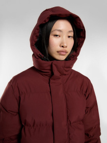 Куртки и дубленки Dickies EAGLEVILLE HOODED PUFFER модель DK0A87OLL161 Фото