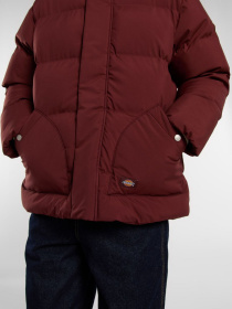 Куртки и дубленки Dickies EAGLEVILLE HOODED PUFFER модель DK0A87OLL161 Фото
