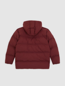 Куртки и дубленки Dickies EAGLEVILLE HOODED PUFFER модель DK0A87OLL161 Фото