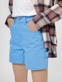 Шорти Dickies Duck Canvas Carpenter модель DK0A4XRSF291 Фото
