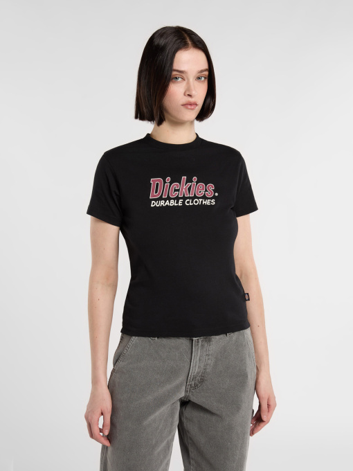 Футболки и поло Dickies Williston модель DK0A87Q5BLK1 Фото
