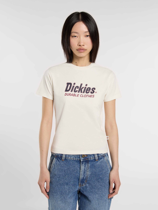 Футболки и поло Dickies Williston модель DK0A87Q5C481 Фото