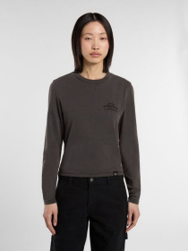 Худи и свитшоты Dickies CHRISTIANA модель DK0A87Q6BLK1 Фото