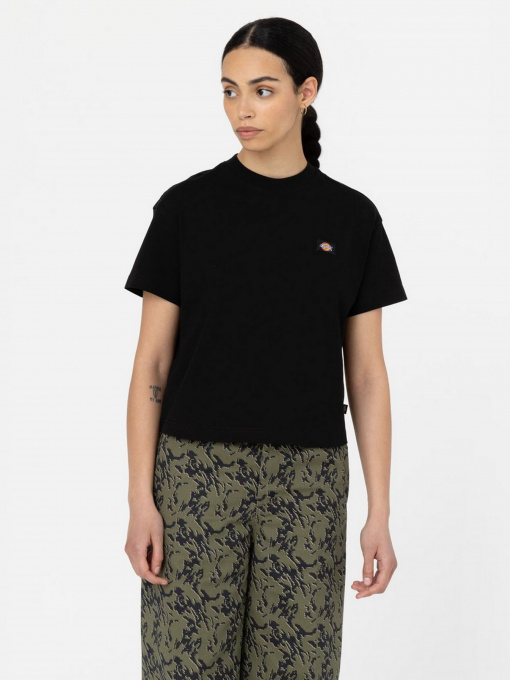 Футболки и поло Dickies Oakport Boxy Tea модель DK0A4Y8LBLK1 Фото