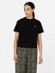 Футболки и поло Dickies Oakport Boxy Tea модель DK0A4Y8LBLK1 Фото