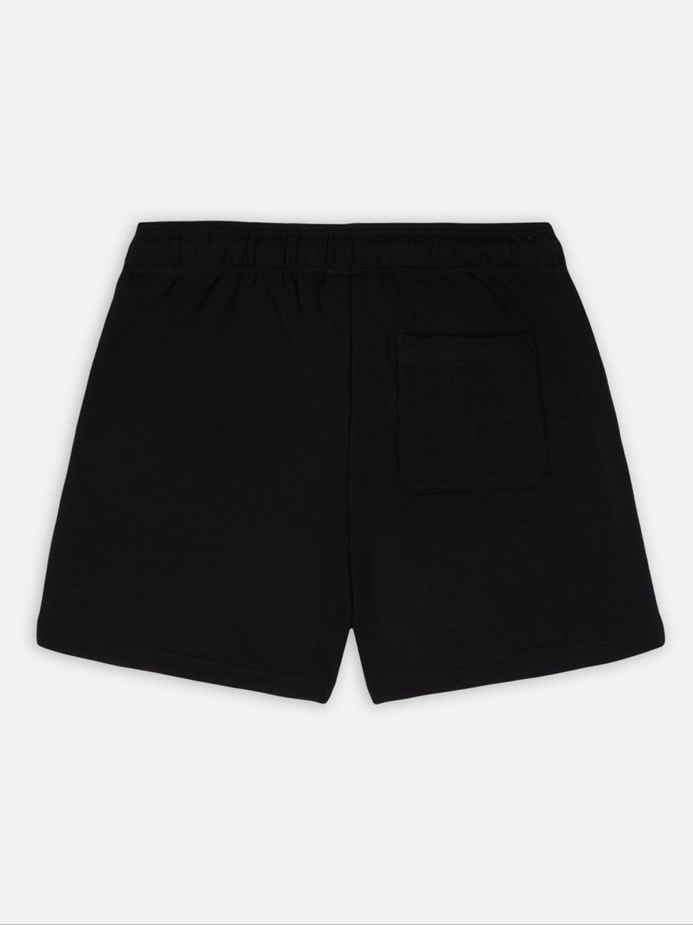 Шорти Dickies Mapleton модель DK0A4YB6BLK1 Фото
