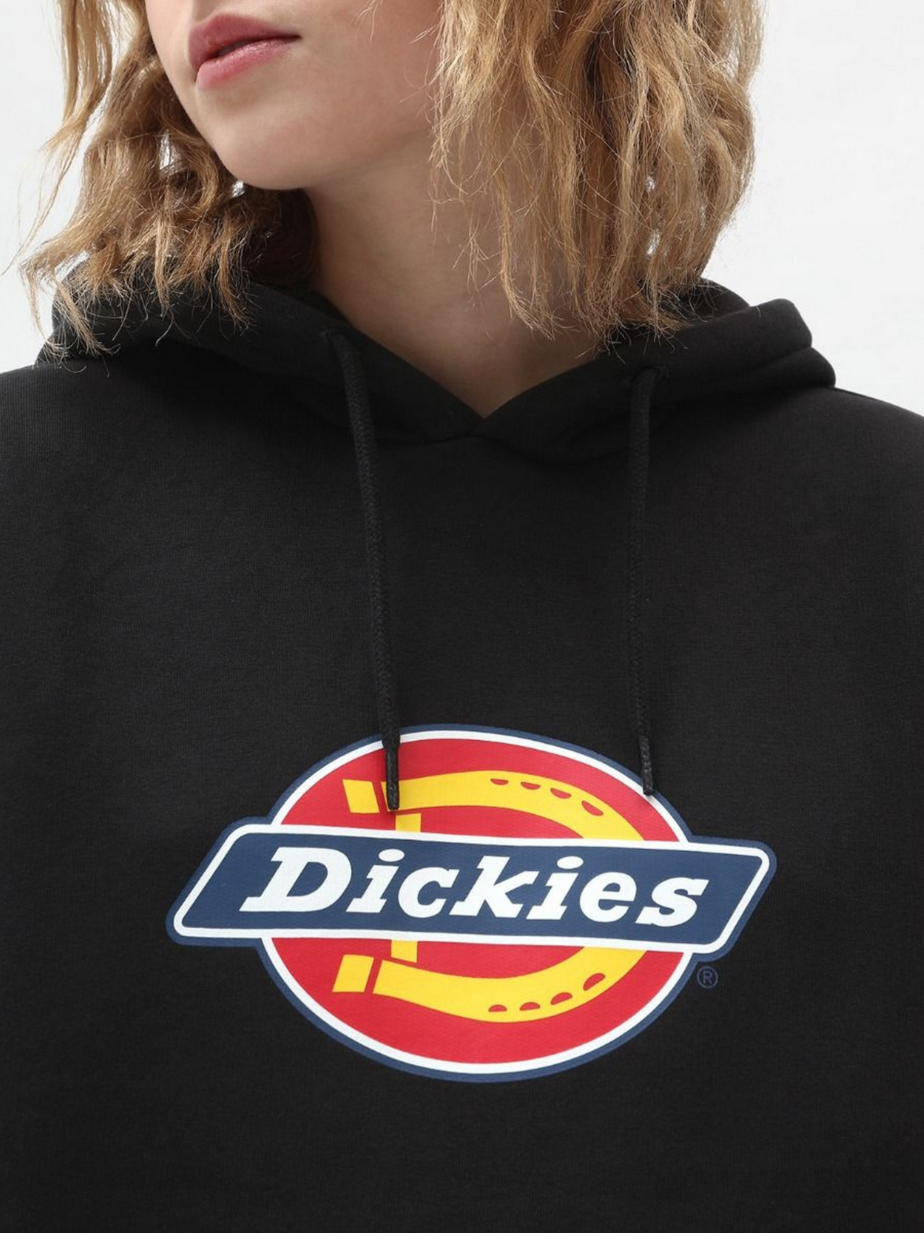 Худі та світшоти Dickies Icon Logo модель DK0A4XCCBLK1 Худі та світшоти Dickies Icon Logo модель DK0A4XCCBLK1 Фото