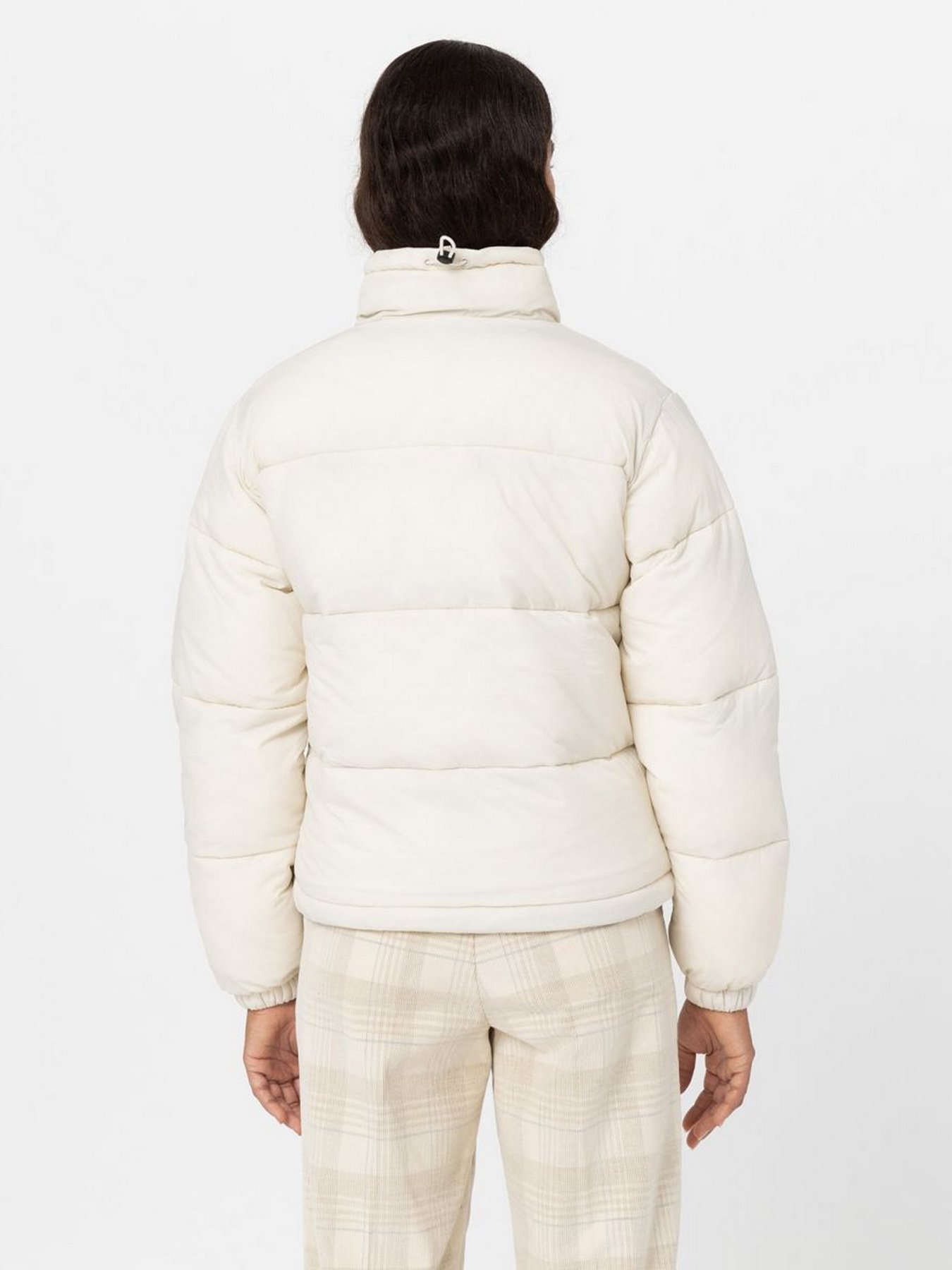Куртки та дублянки Dickies Alatna модель DK0A4XP3F901 Фото
