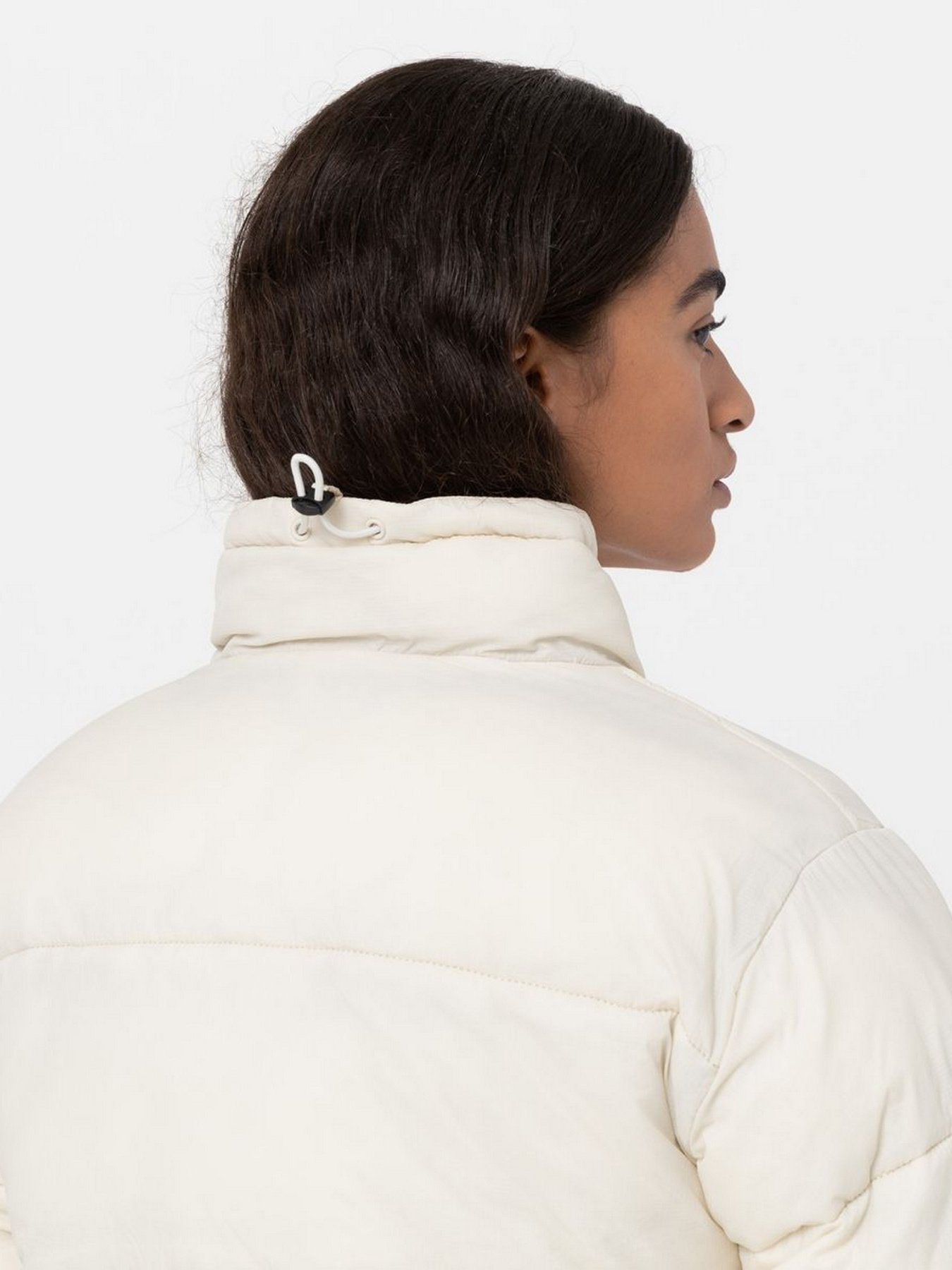 Куртки та дублянки Dickies Alatna модель DK0A4XP3F901 Фото