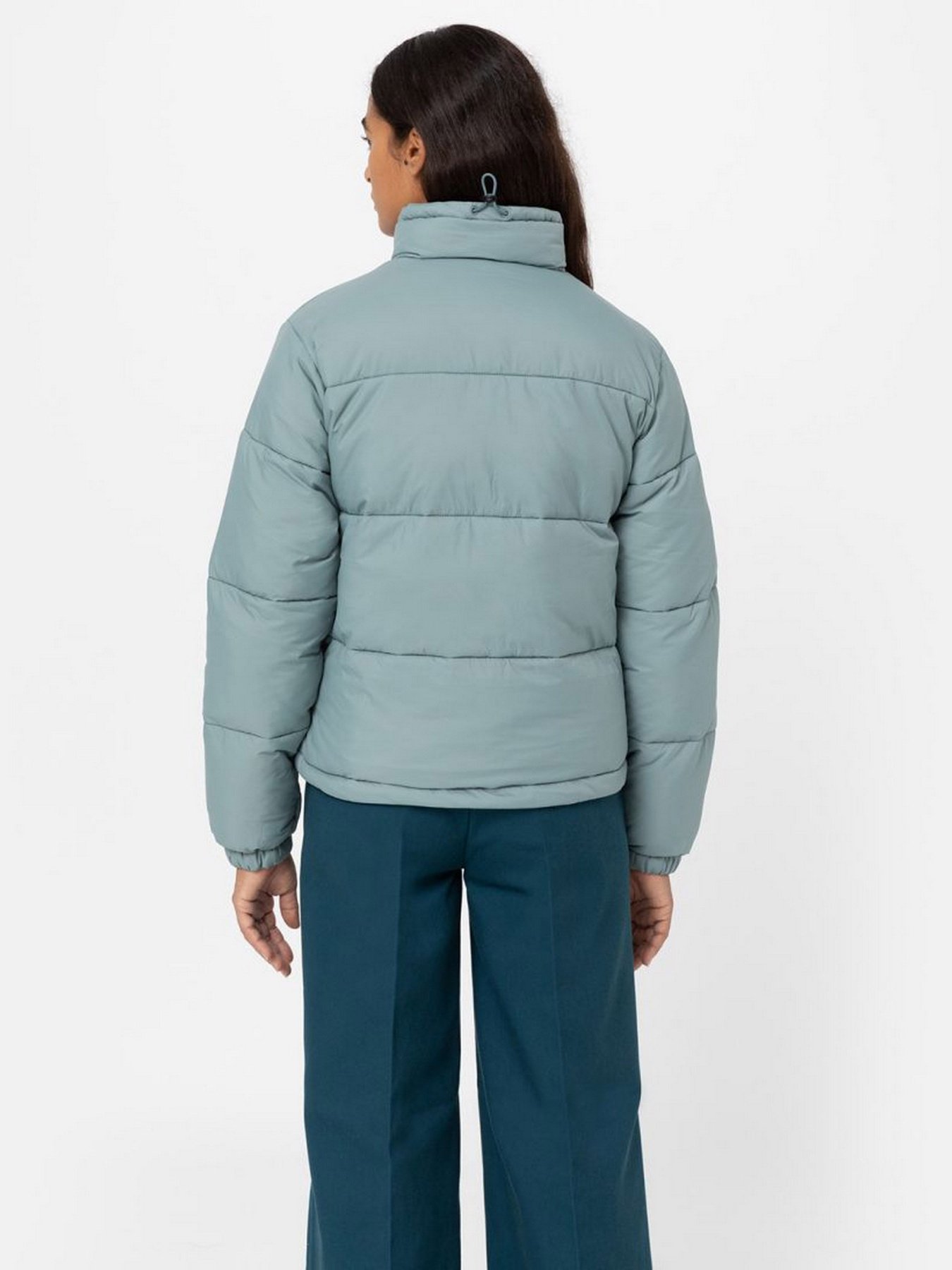 Куртки та дублянки Dickies Alatna модель DK0A4XP3G071 Куртки та дублянки Dickies Alatna модель DK0A4XP3G071 Фото