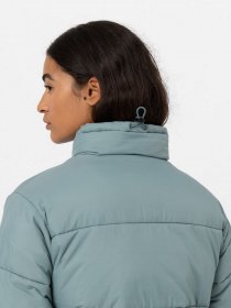 Куртки та дублянки Dickies Alatna модель DK0A4XP3G071 Фото