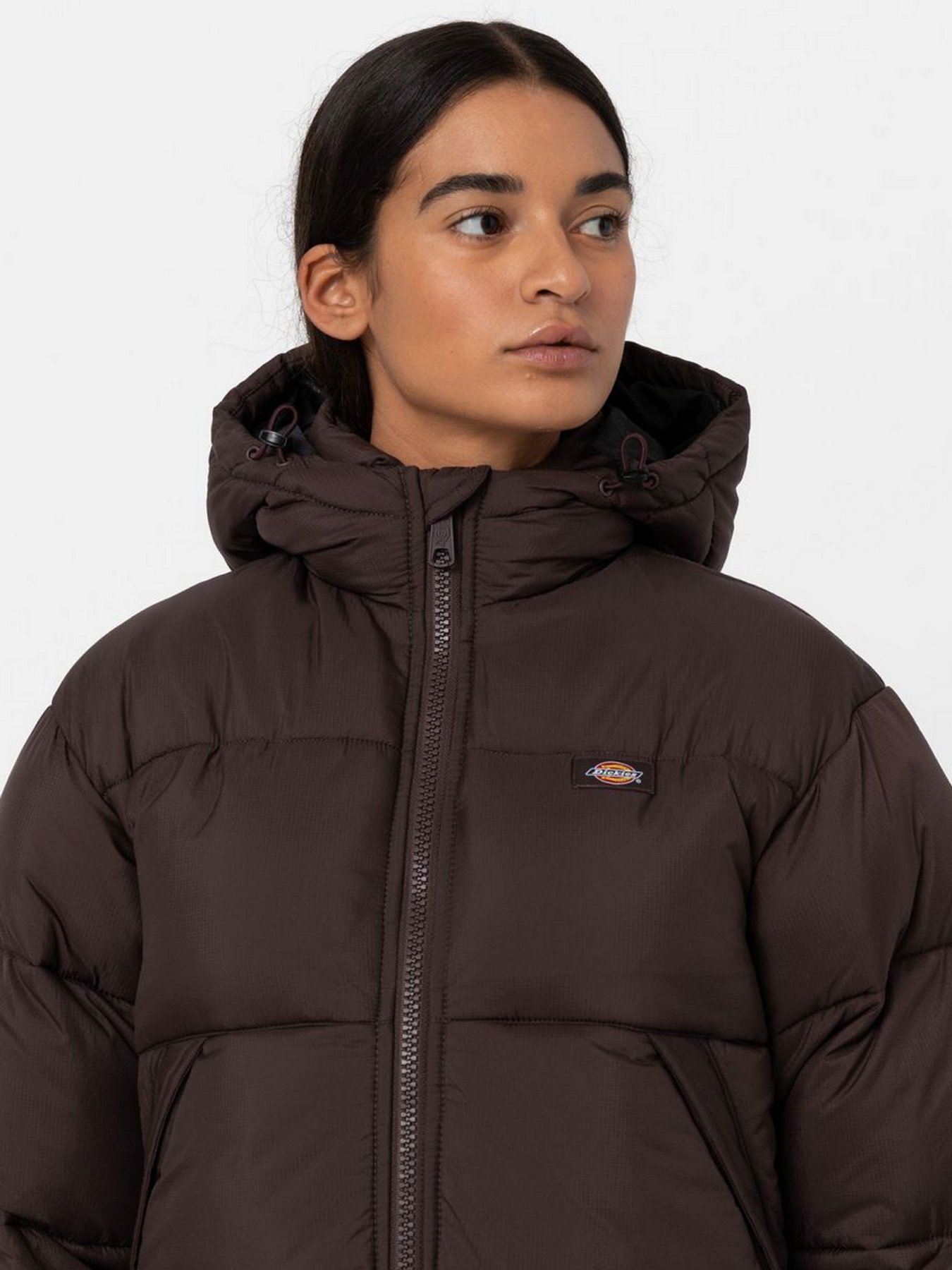 Куртки та дублянки Dickies Alatna Long модель DK0A4XR9D711 Фото