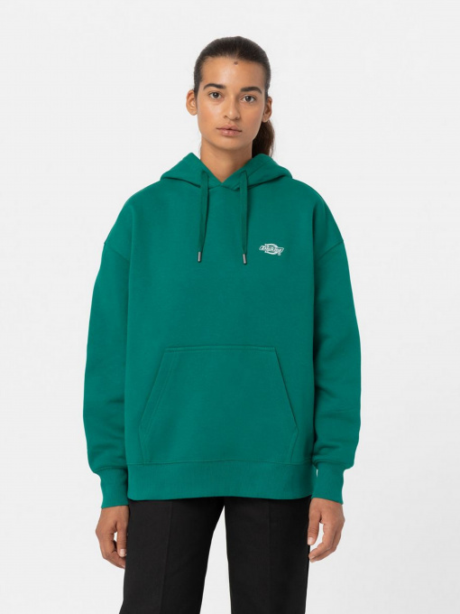 Худі та світшоти Dickies Summerdale модель DK0A4XYWF961 Фото