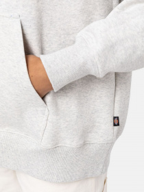 Худі та світшоти Dickies Summerdale модель DK0A4XYWA281 Фото