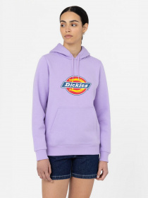 Худи и свитшоты Dickies Icon Logo модель DK0A4XCCE611 Фото