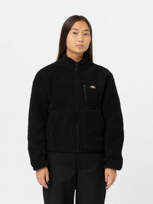 Худі та світшоти Dickies MOUNT HOPE FLEECE модель DK0A4YGNBLK1 Фото